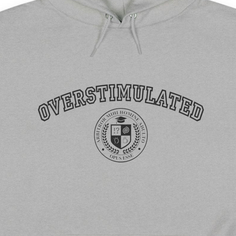 OVERSTIMULATED College Hoodie